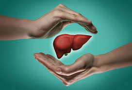 Liver Diseases Image